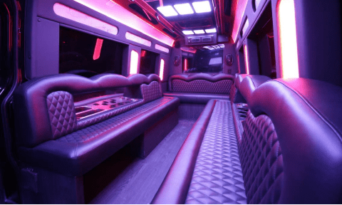Carlsbad 14 Passenger Sprinter Bus Interior