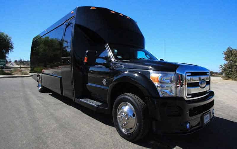 Temecula 30 Passenger Party Bus Black
